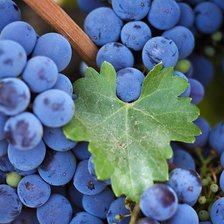 Схема вышивки «№2299031»