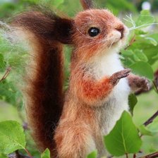 Оригинал схемы вышивки «белка» (№2299254)