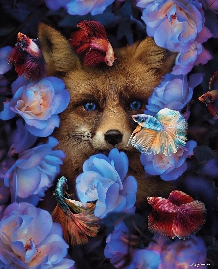 Рыжая - лиса, рыбки, розы - оригинал