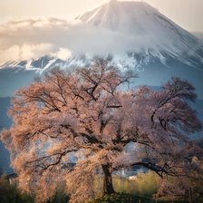 Схема вышивки «Montaña Fuji»