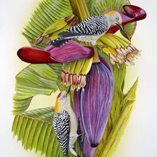 Схема вышивки «Flor de Banano»