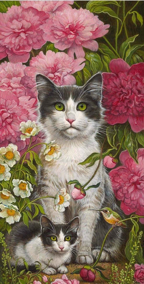 кот - кот, животные, портрет - оригинал