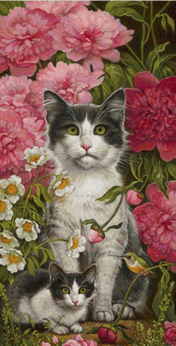 кот - животные, портрет, кот - предпросмотр