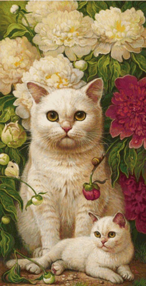 кот - портрет, животные, кот - предпросмотр