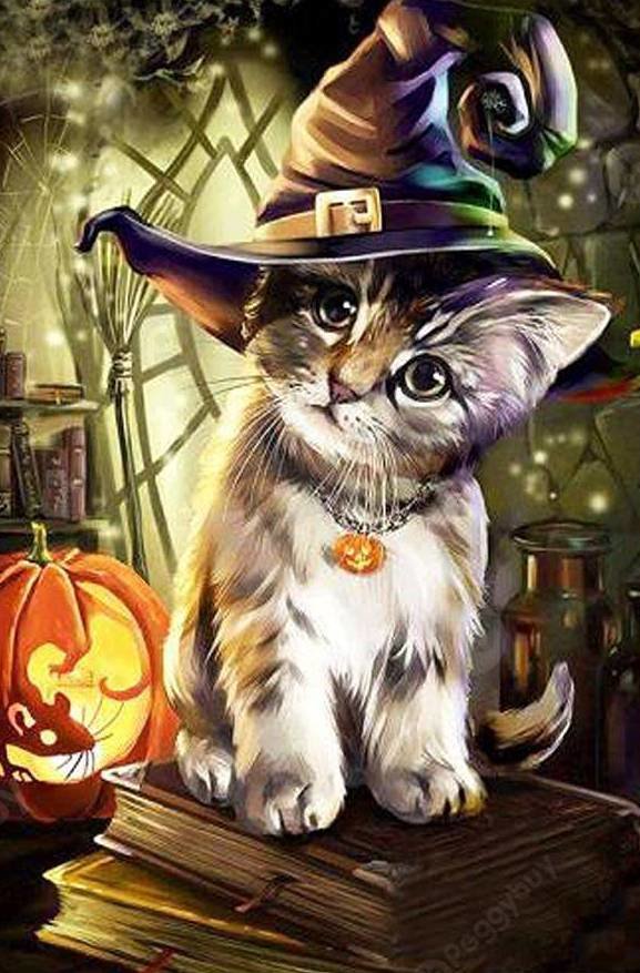 кот - животные, кот, портрет - оригинал