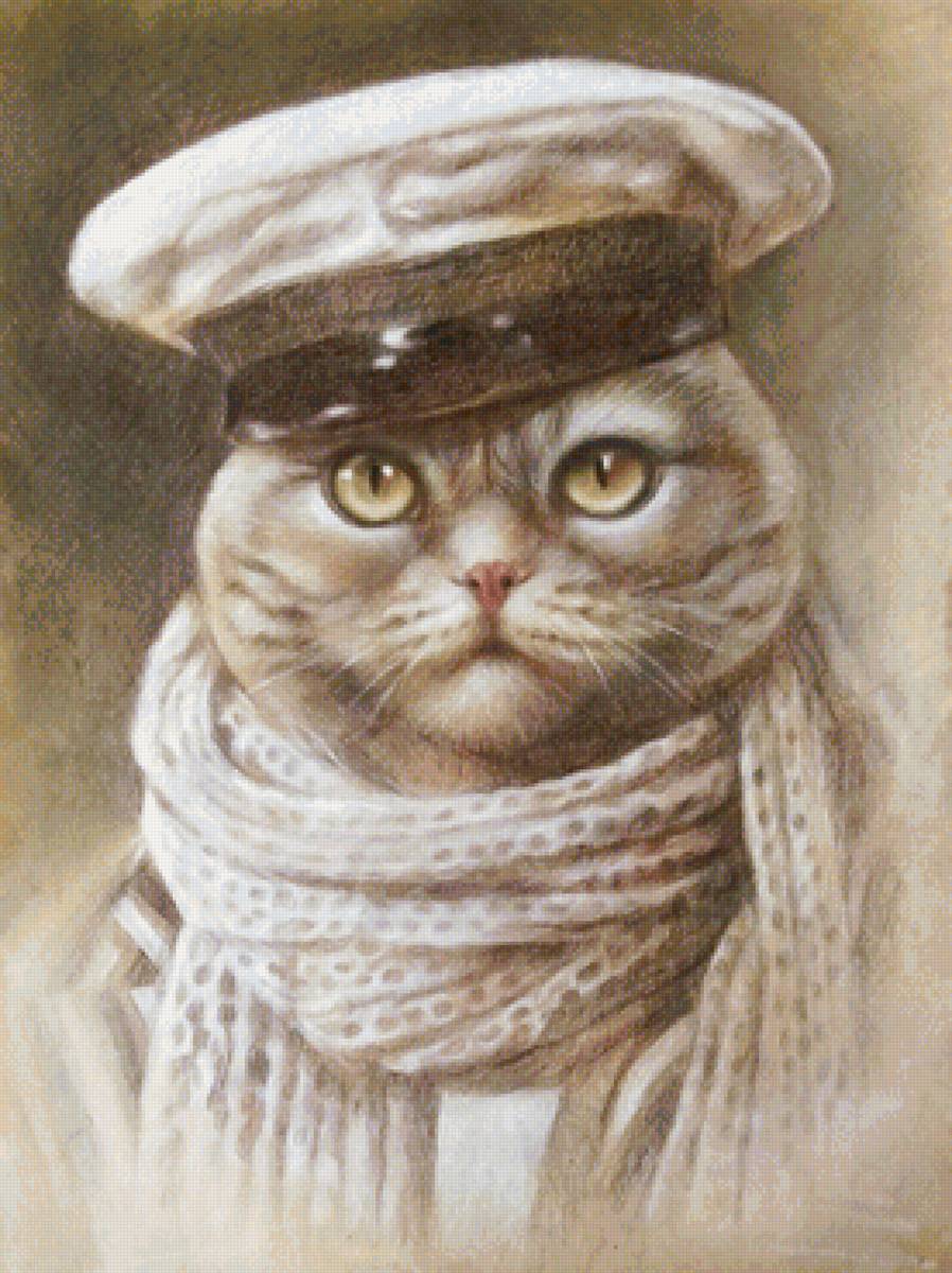 кот - портрет, кот, животные - предпросмотр