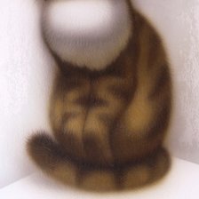 Схема вышивки «кот»