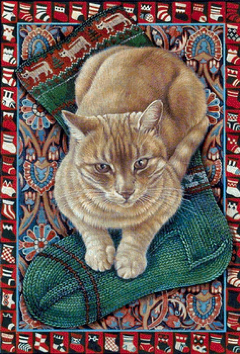 кот - животные, портрет, кот - предпросмотр