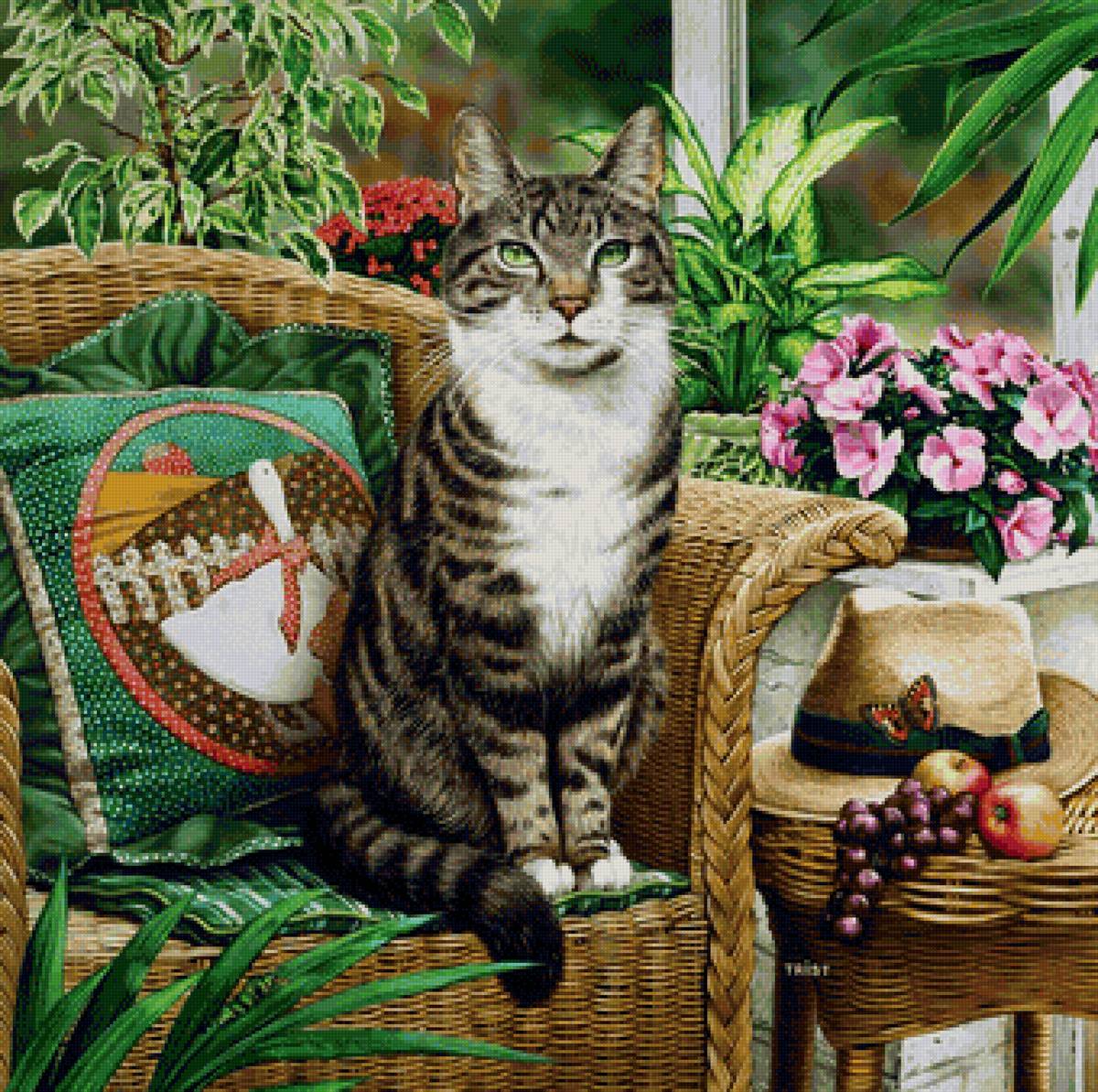 кот - животные, портрет, кот - предпросмотр