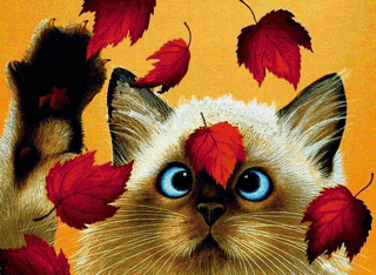 кот - кот, портрет, животные - предпросмотр