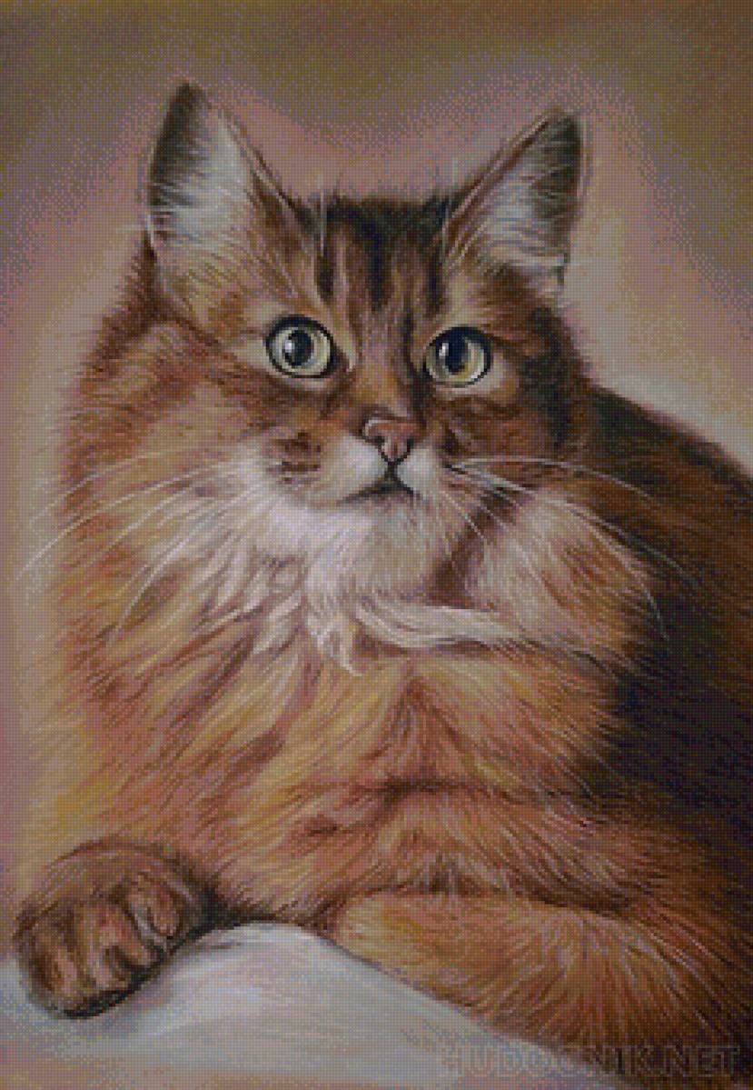 кот - портрет, животные, кот - предпросмотр