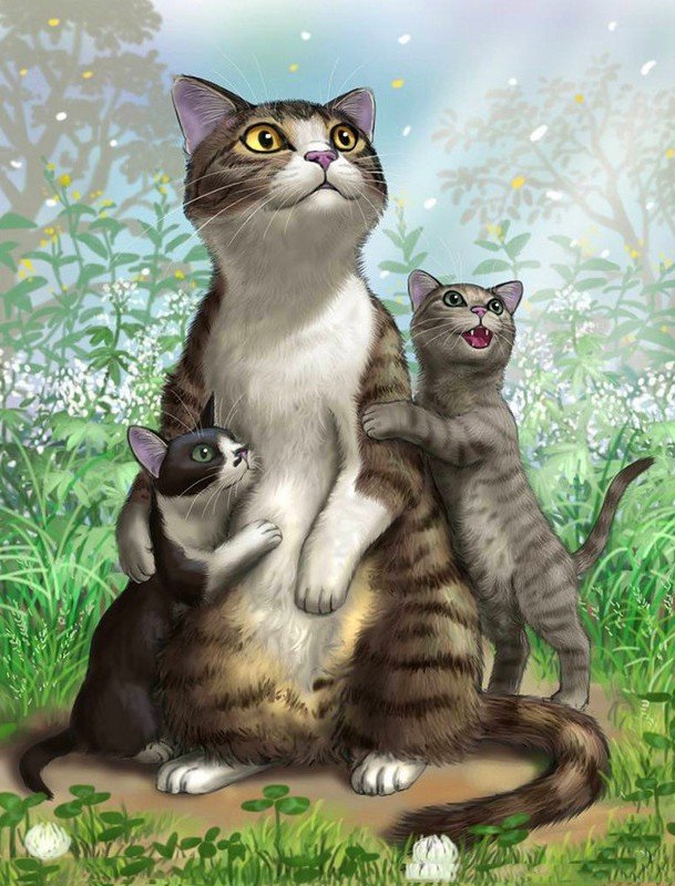 кот - животные, кот, портрет - оригинал