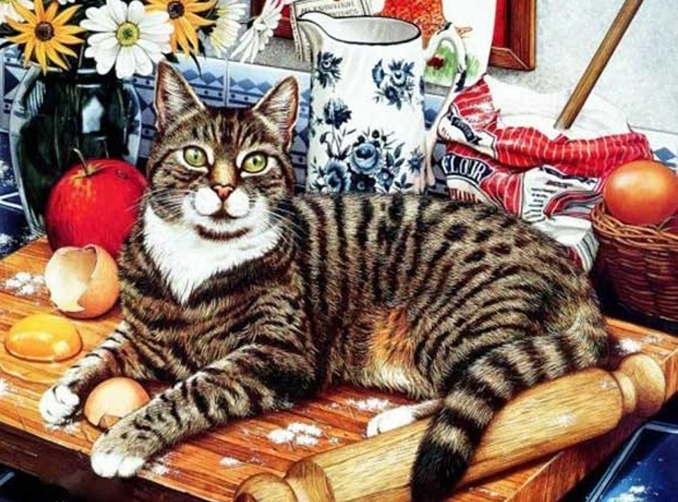 кот - животные, кот, портрет - оригинал