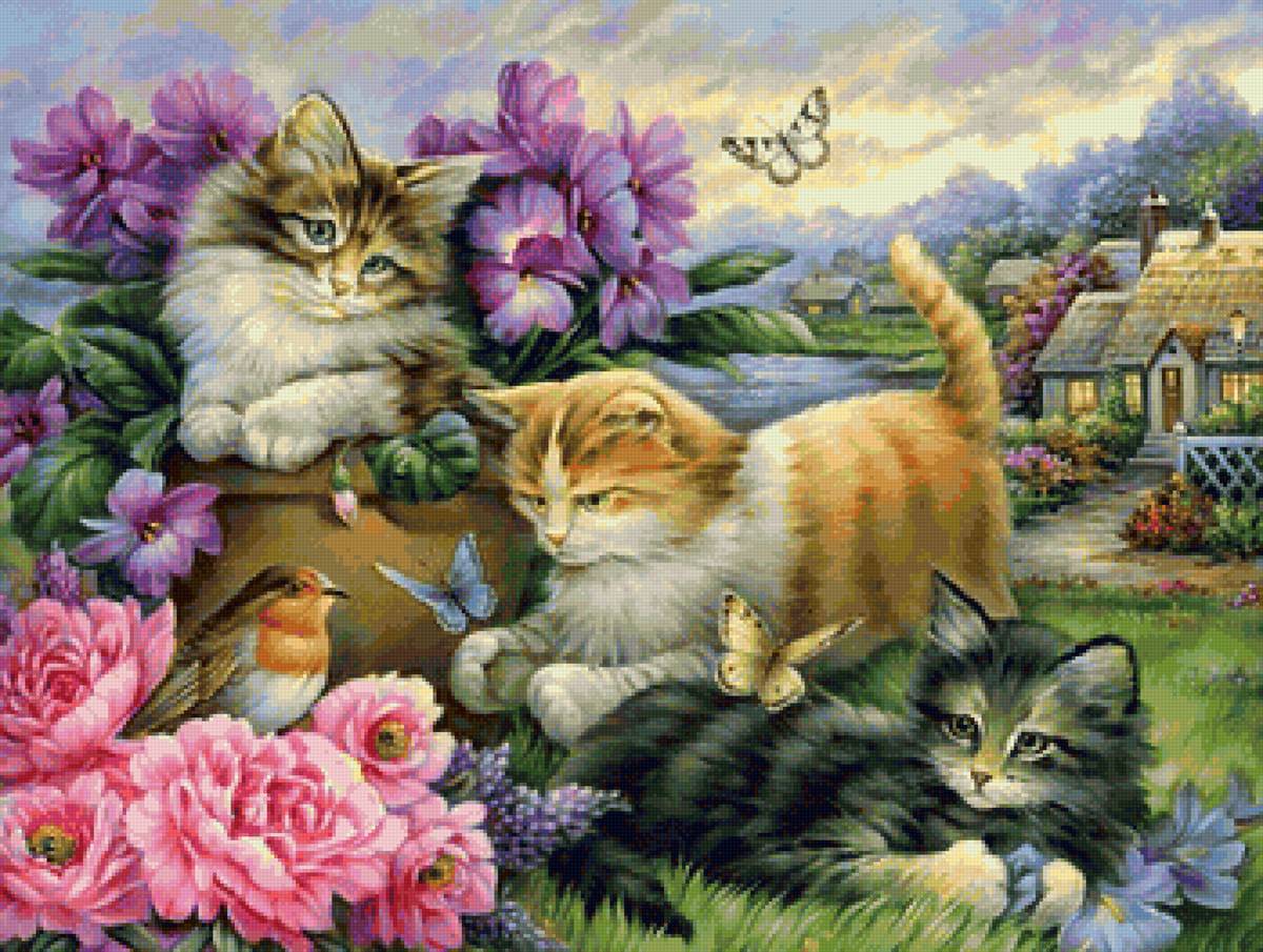 кот - кот, портрет, животные - предпросмотр