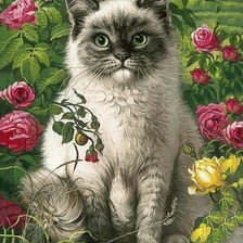 Схема вышивки «кот»