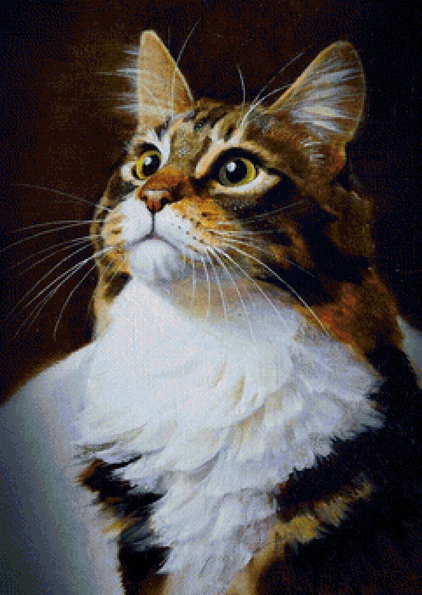 кот - животные, портрет, кот - предпросмотр