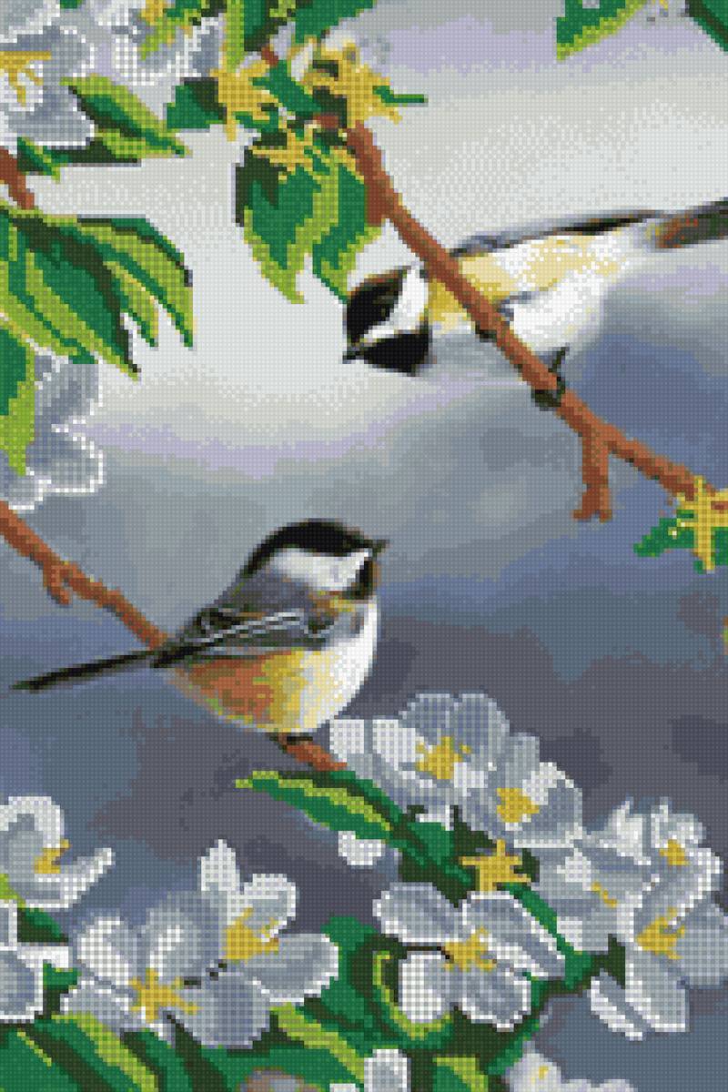 СИНИЧКИ - denecs - предпросмотр