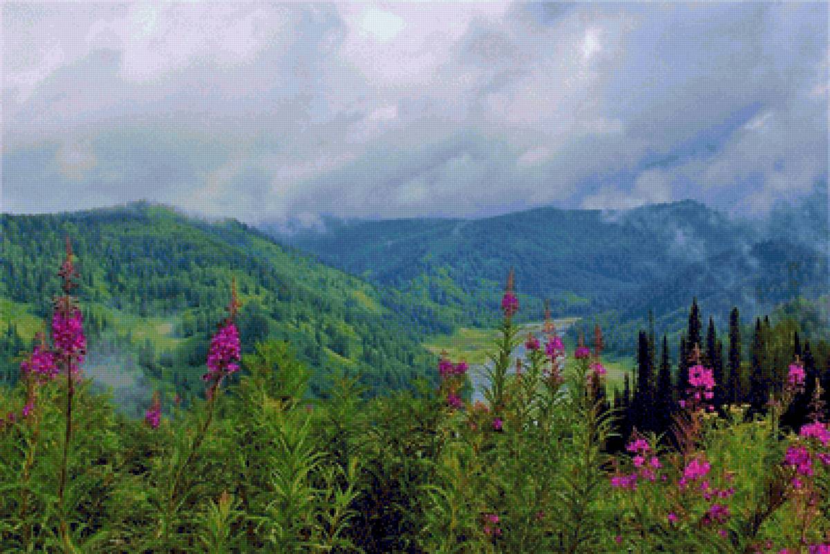 Цветет Иван-чай - иван-чай, пейзаж, горы, природа, цветы - предпросмотр