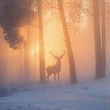 Схема вышивки «Олень»