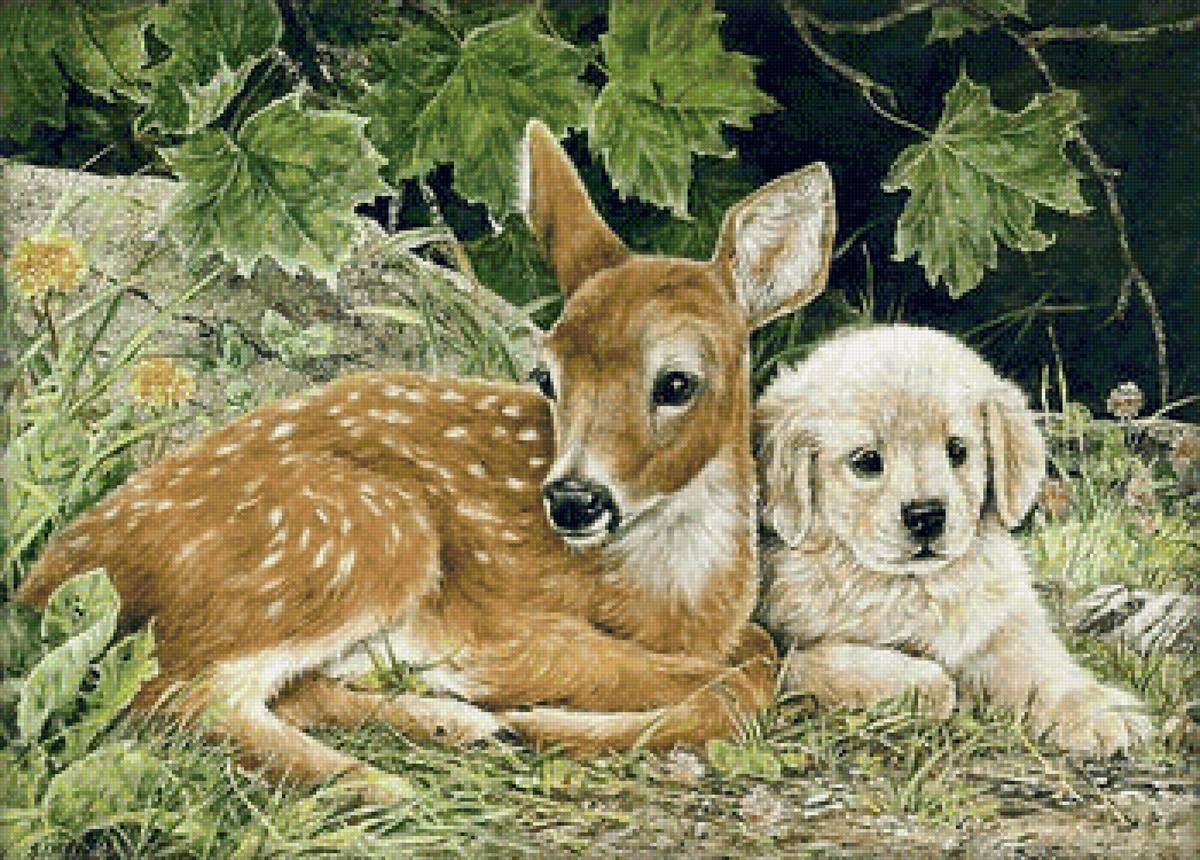 №2300382 - двое, лес, животные, олень, собаки - предпросмотр