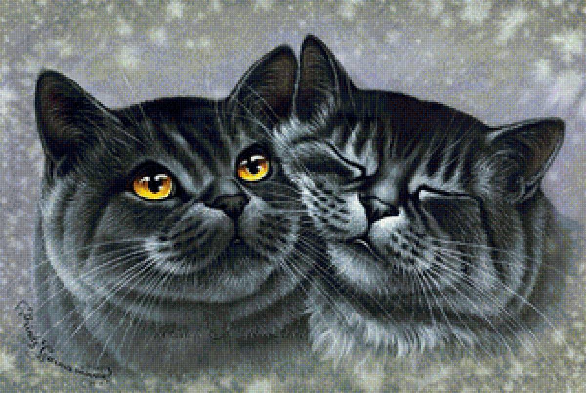 кот - животные, кот, портрет - предпросмотр