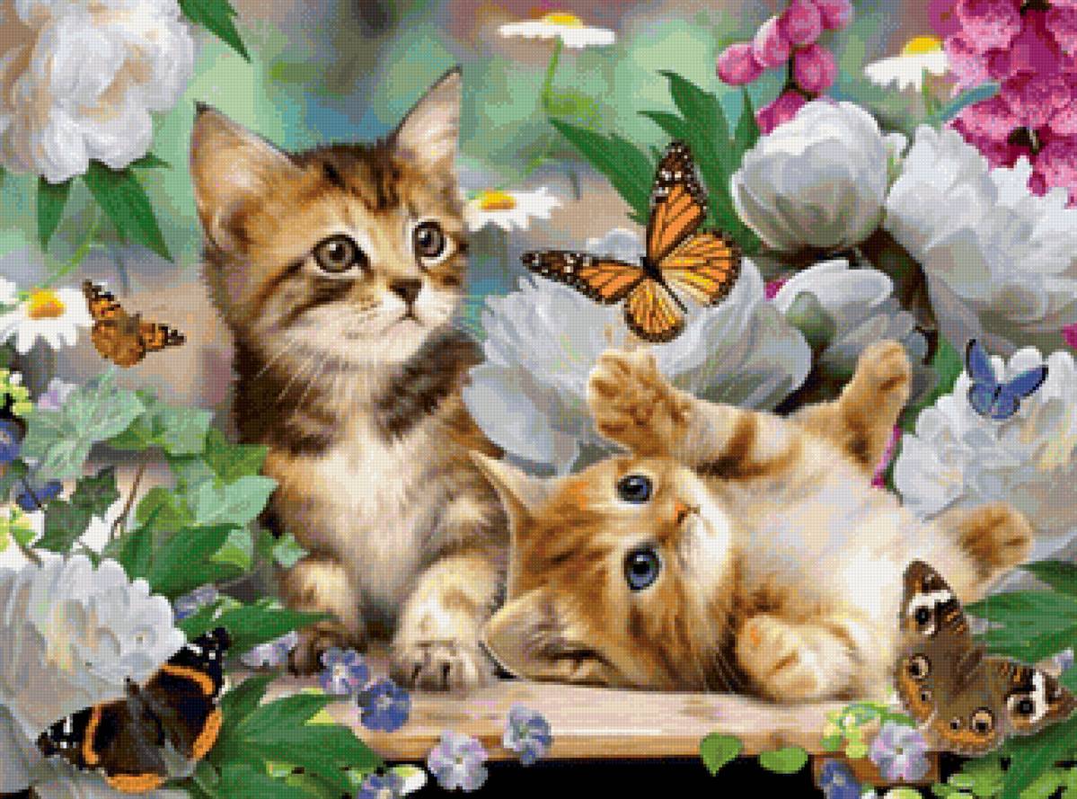 кот - портрет, кот, животные - предпросмотр