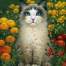 Схема вышивки «кот»