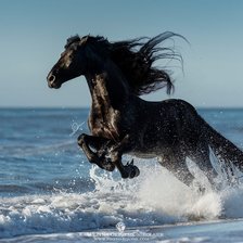 Схема вышивки «краем моря»