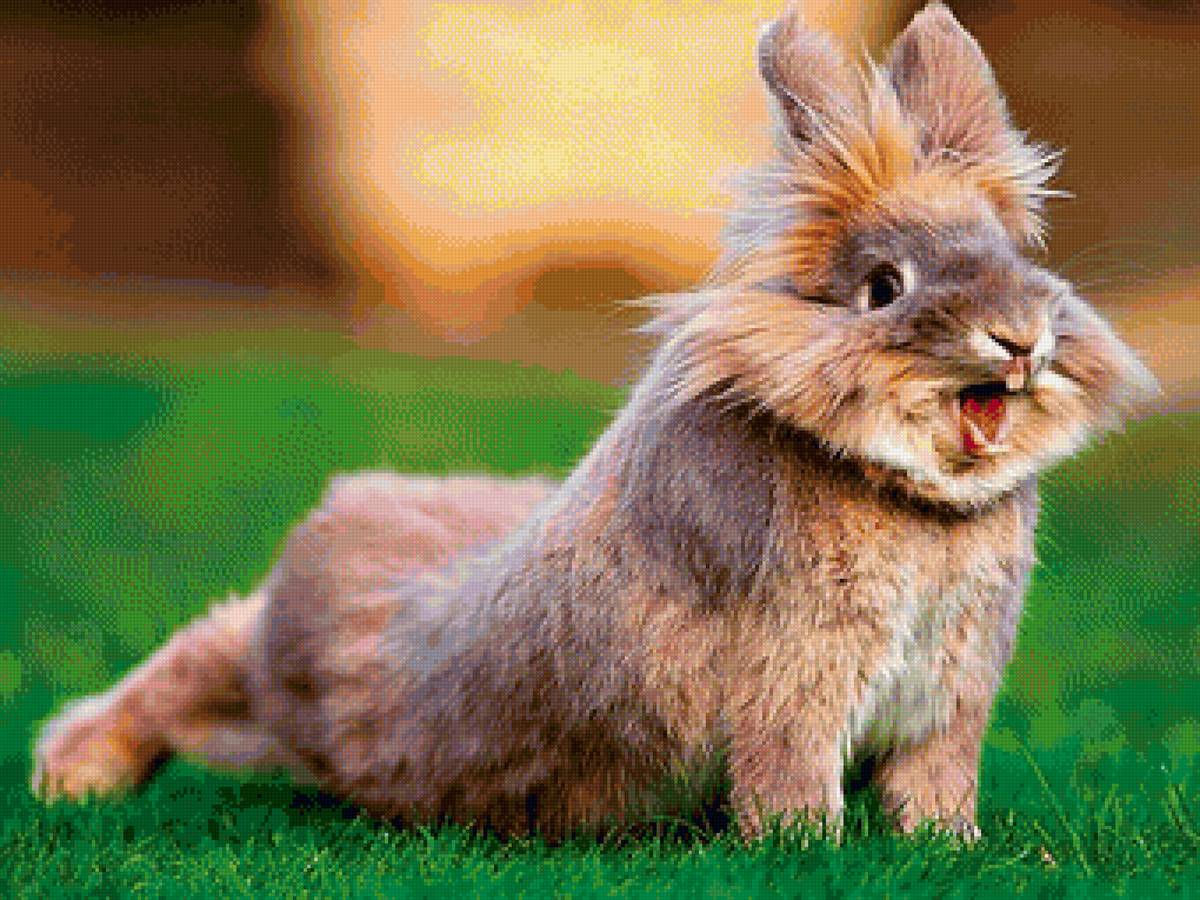 заяц - портрет - предпросмотр