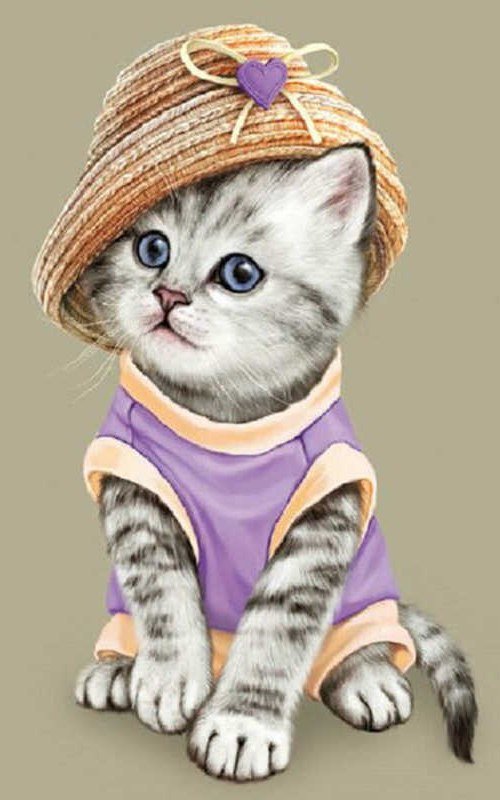 кот - кот, портрет, животные - оригинал