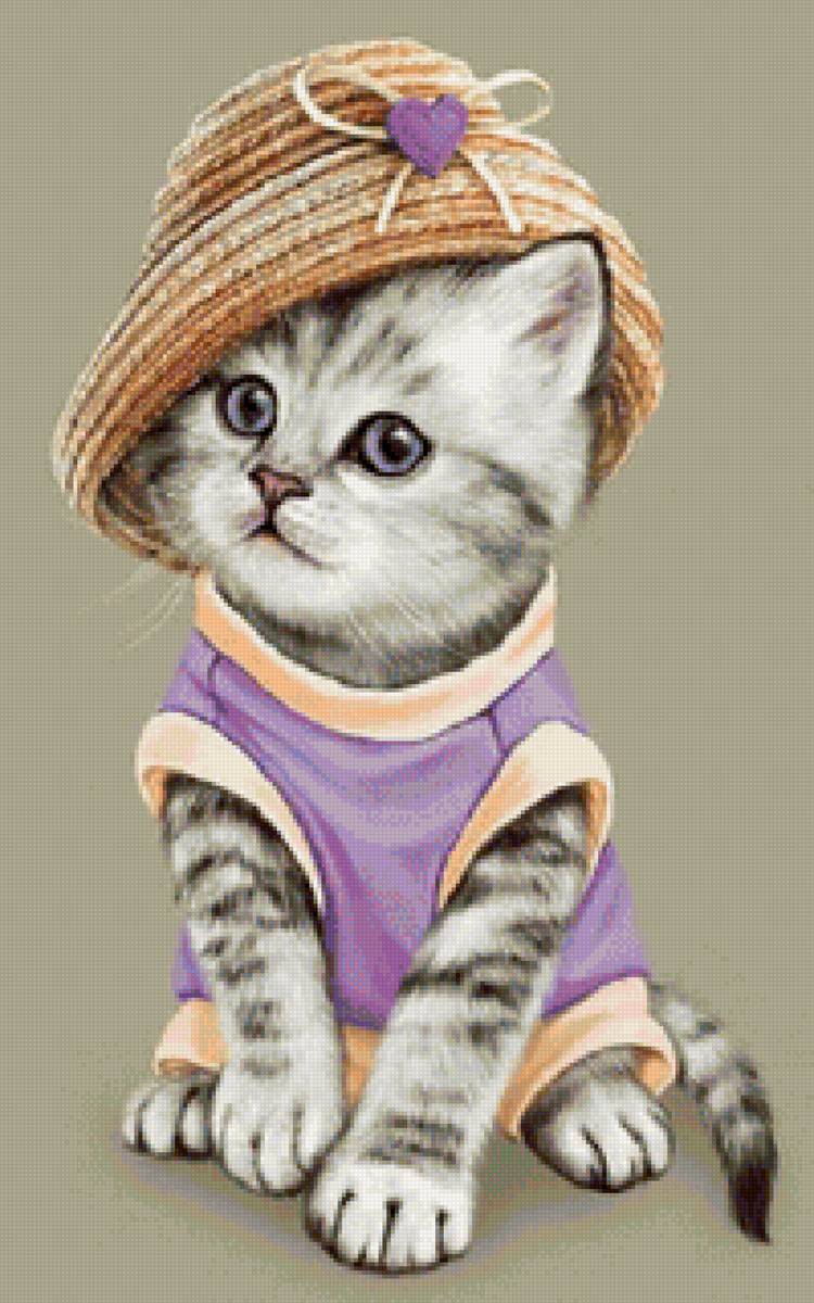 кот - кот, животные, портрет - предпросмотр