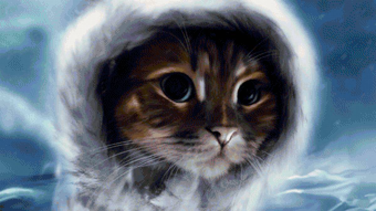 кот - портрет, животные, кот - предпросмотр