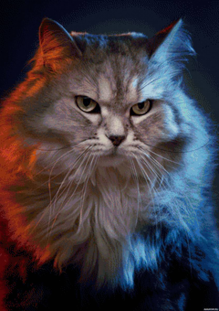 кот - животные, кот, портрет - предпросмотр