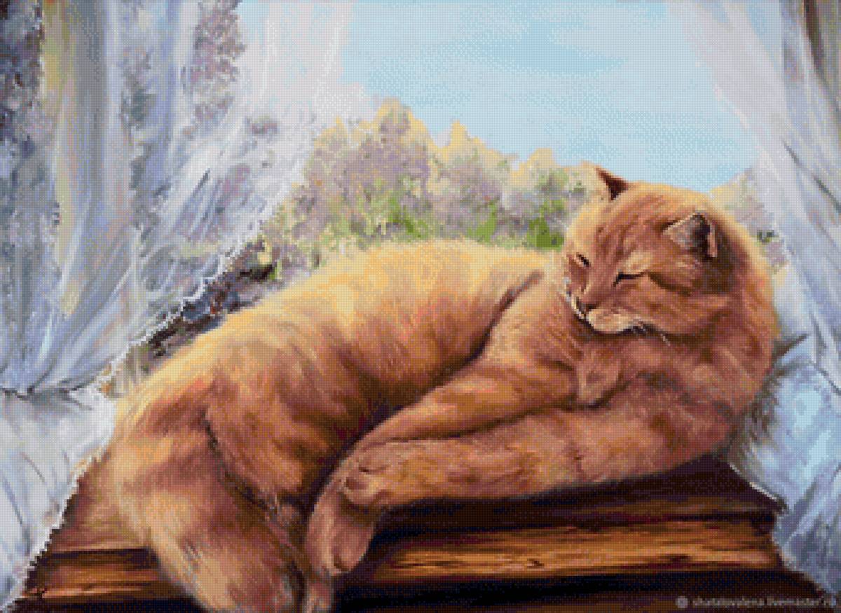 кот - животные, кот, портрет - предпросмотр