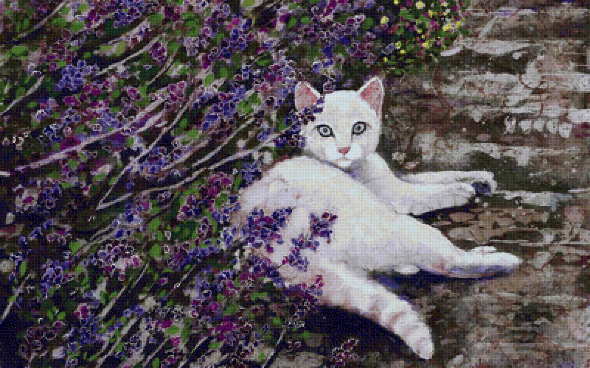 Кот - кот, цветы - предпросмотр