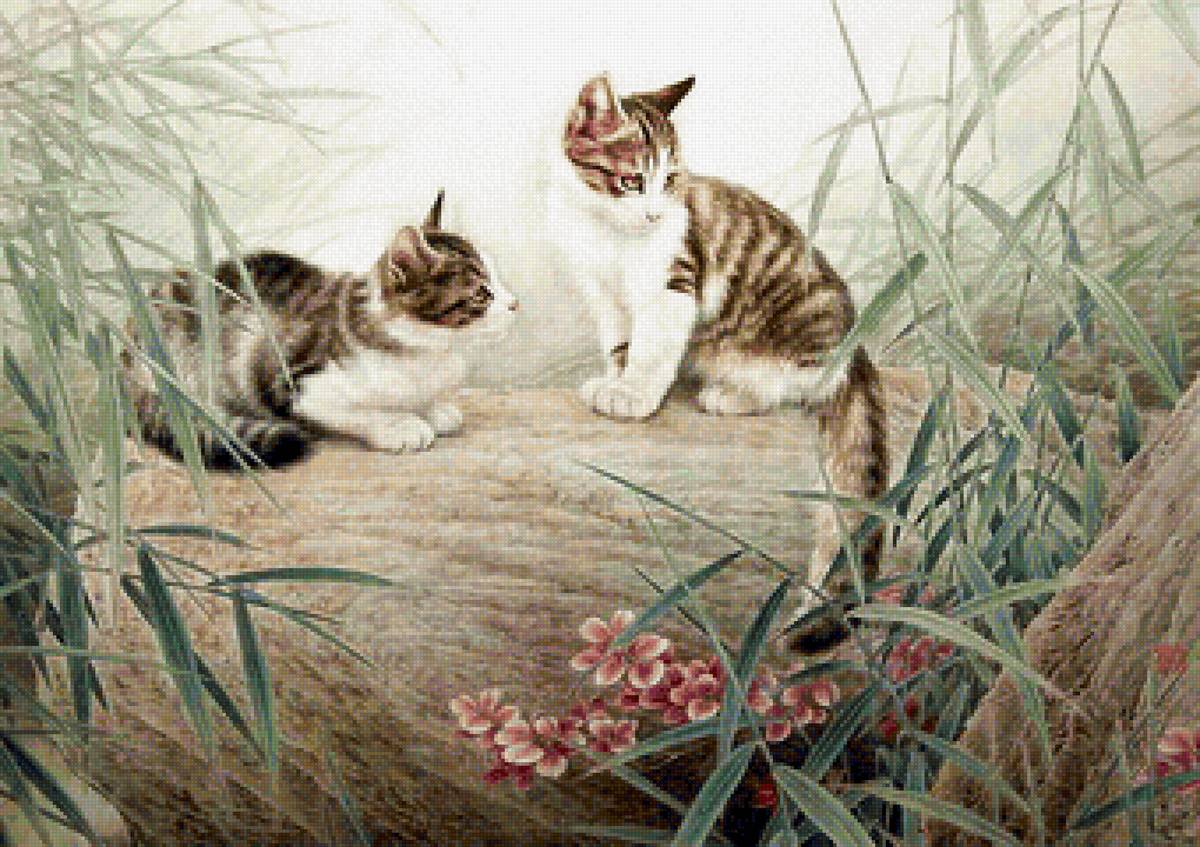 кот - животные, портрет, кот - предпросмотр