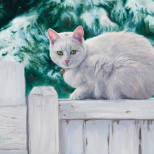 Схема вышивки «кот»