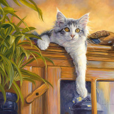 Схема вышивки «кот»