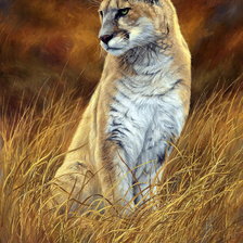 Схема вышивки «львица»