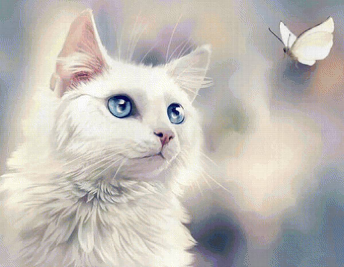 кот - кот, портрет, животные - предпросмотр