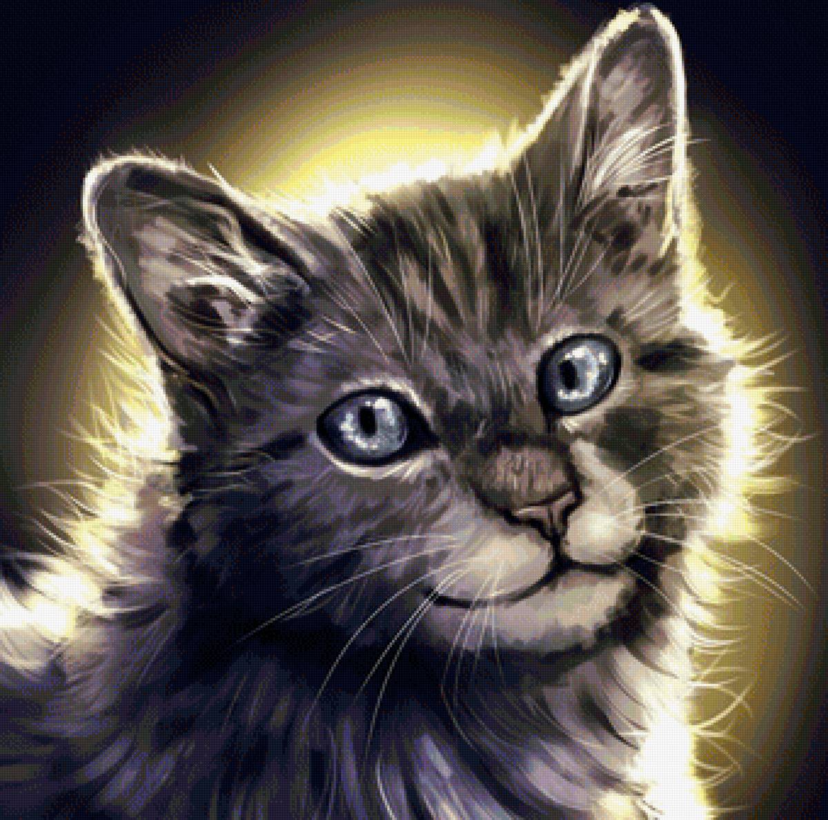 кот - животные, кот, портрет - предпросмотр