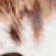 Предпросмотр схемы вышивки «кот» (№2300792)