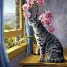 Схема вышивки «кот»