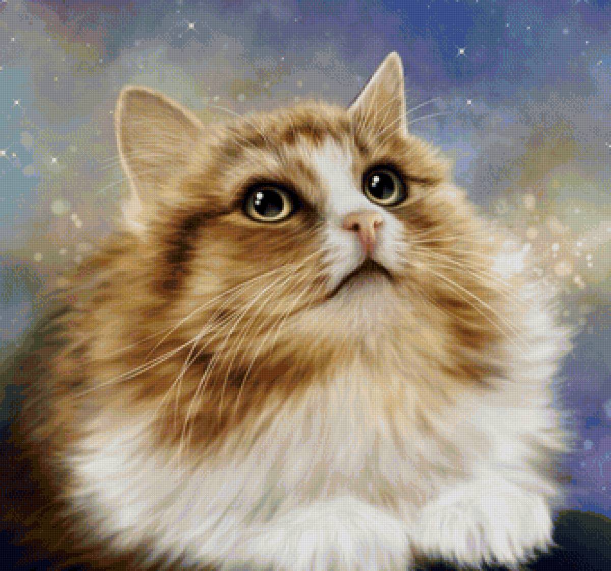 кот - портрет, кот, животные - предпросмотр