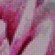 Предпросмотр схемы вышивки «цветущий лотос» (№2300913)