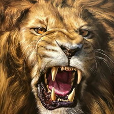 Схема вышивки «Оскал льва»