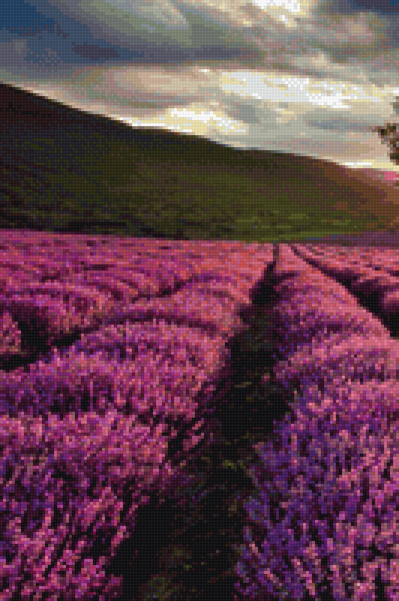 ТРИПТИХ ЛАВАНДОВОЕ ПОЛЕ 1 - denecs - предпросмотр