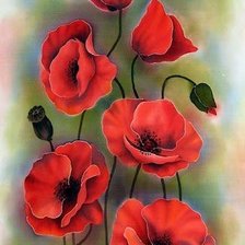 Схема вышивки «Маки»