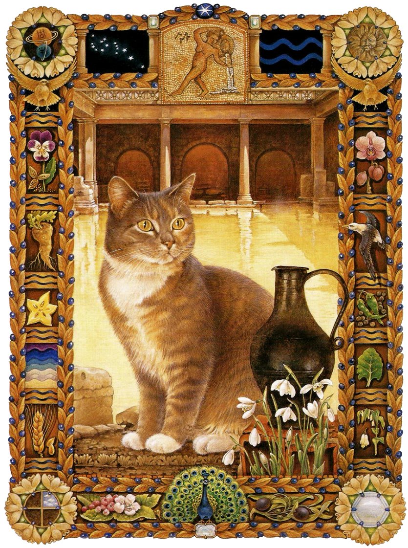 кот - животные, кот, портрет - оригинал