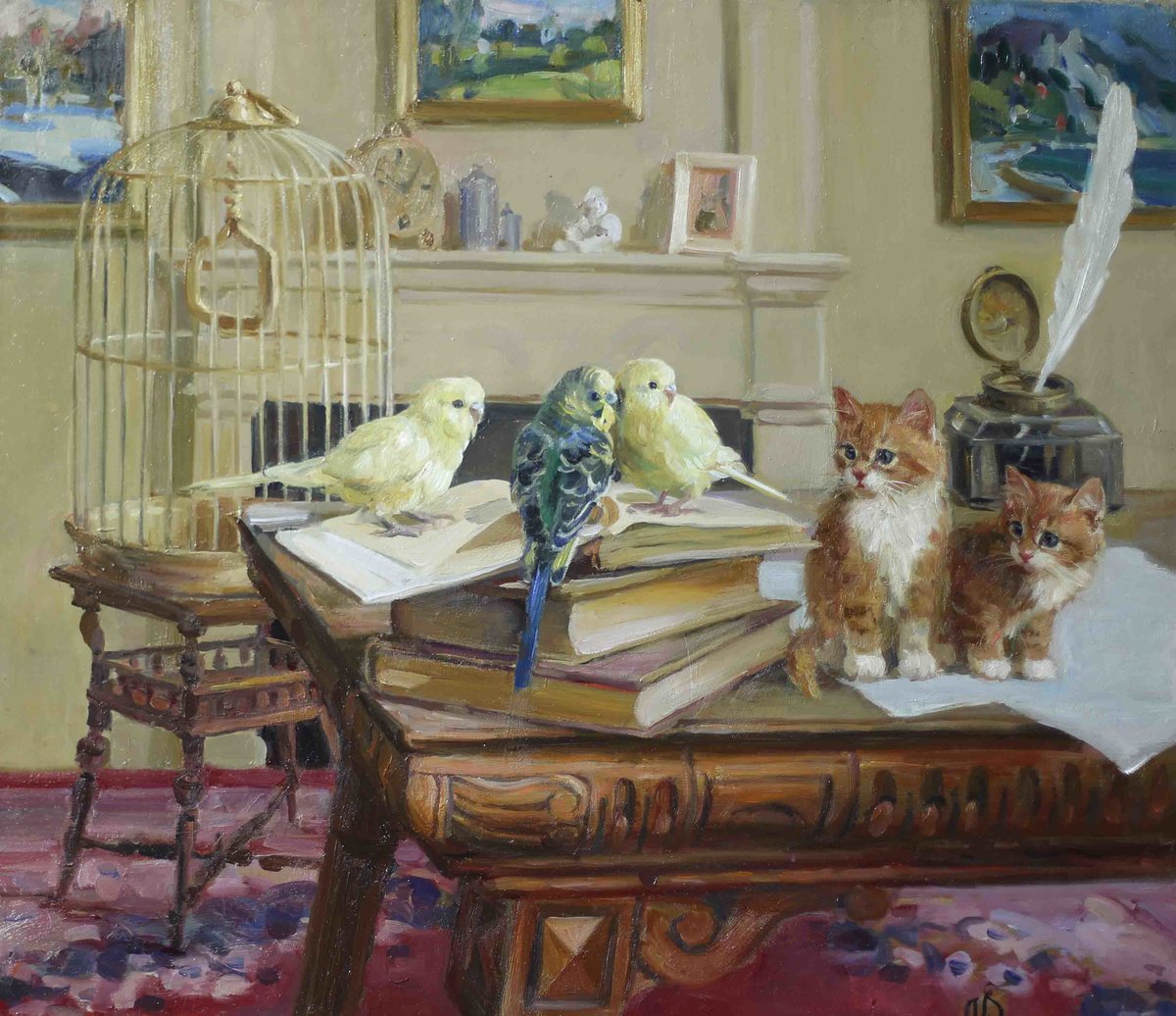 кот - портрет, кот, животные - оригинал